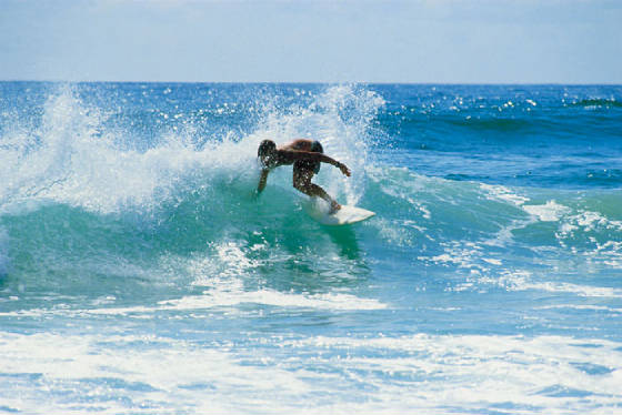 6_surfing-surfers-paradise.jpg